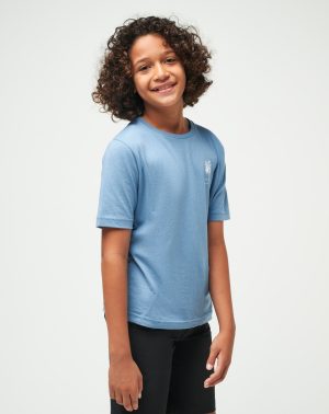 Palm Grass Youth Tee