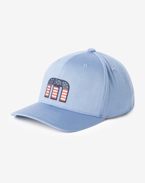 Flag Dad Eco Youth Hat
