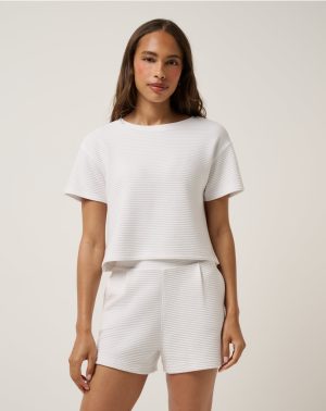 Coastal Rib Charter Cruise Top