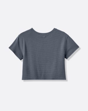 Coastal Rib Charter Cruise Top