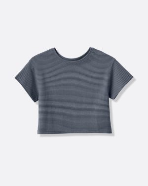 Coastal Rib Charter Cruise Top