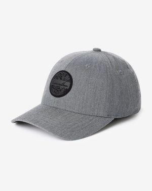 Raymie Flexfit Hat