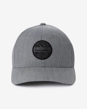 Raymie Flexfit Hat