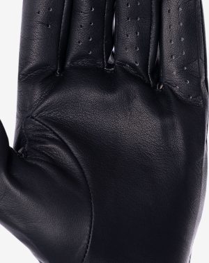 Headliner Golf Glove
