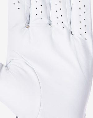 Headliner Golf Glove