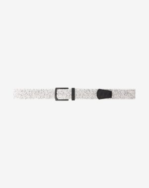 Popsicle 2.0 Stretch Woven Belt