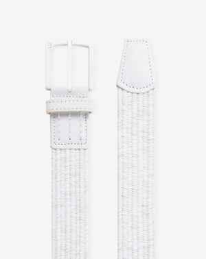 Popsicle 2.0 Stretch Woven Belt