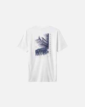 Hidden Lagoon Tee