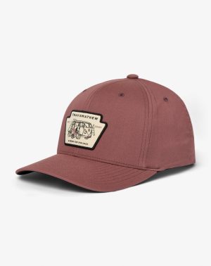 Year In Review Snapback Hat