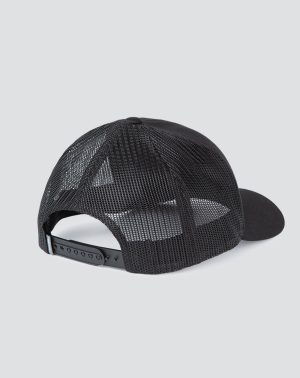 Widder 2.0 Snapback Hat