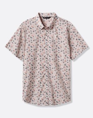 Something New Button-Up