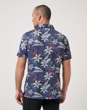 Featherweight Open Bay Polo