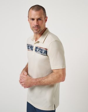 Postcard Market Polo