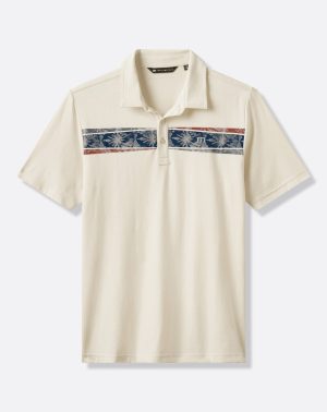 Postcard Market Polo