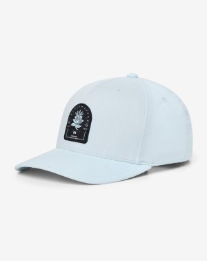 Frequent Lodger Snapback Hat