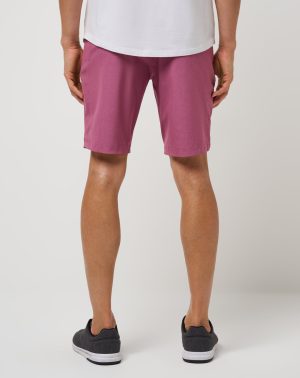 Overhead Compartment Short 10In