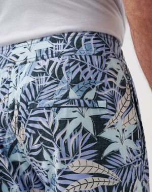 Continental King Boardshort