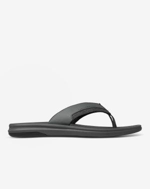 The Daily Sandal