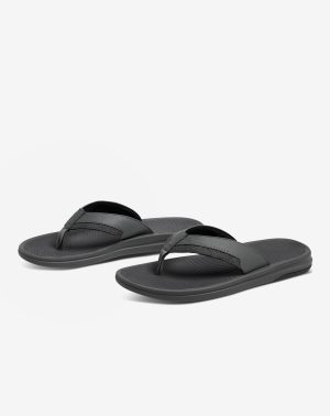 The Daily Sandal
