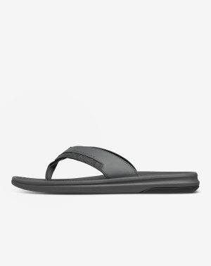 The Daily Sandal
