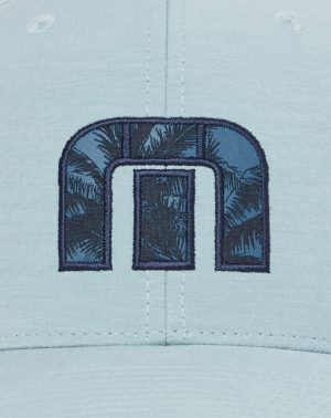 Elite Palms Snapback Hat