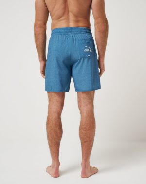 Island Elixer Boardshort