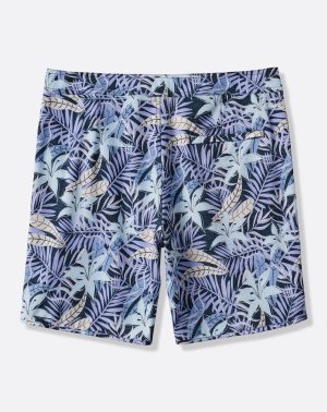 Continental King Boardshort
